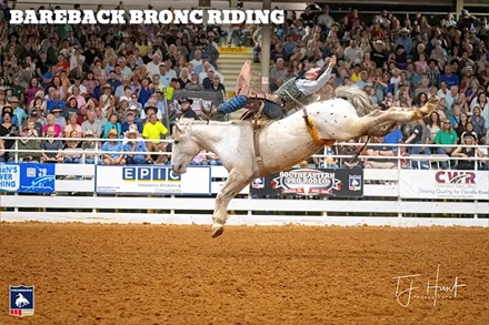 Bareback Bronc Riding