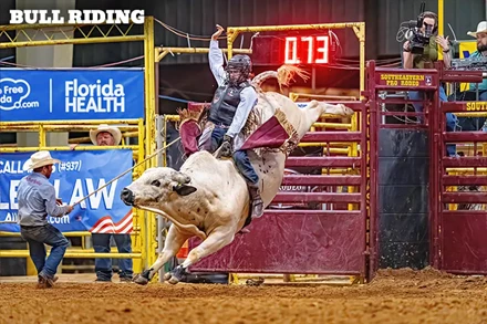 Bull Riding