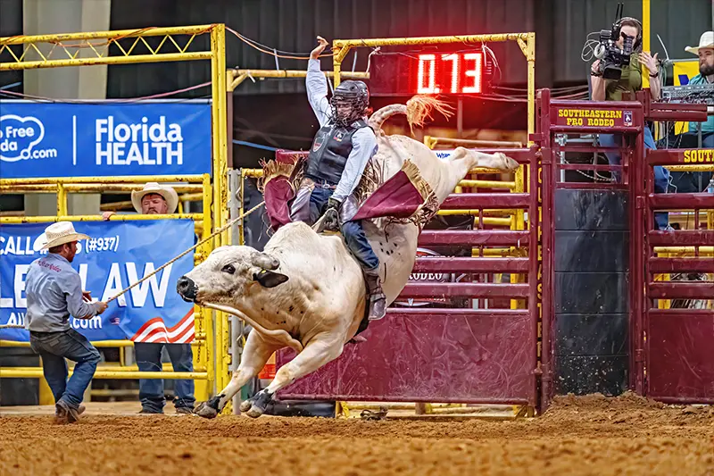 Bull Riding Bull Rider